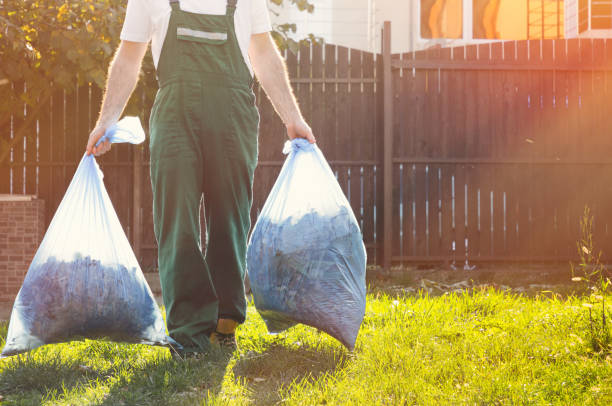 Best Basement Cleanout Services  in Cerro Gordo, IL